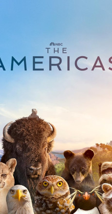 The Americas